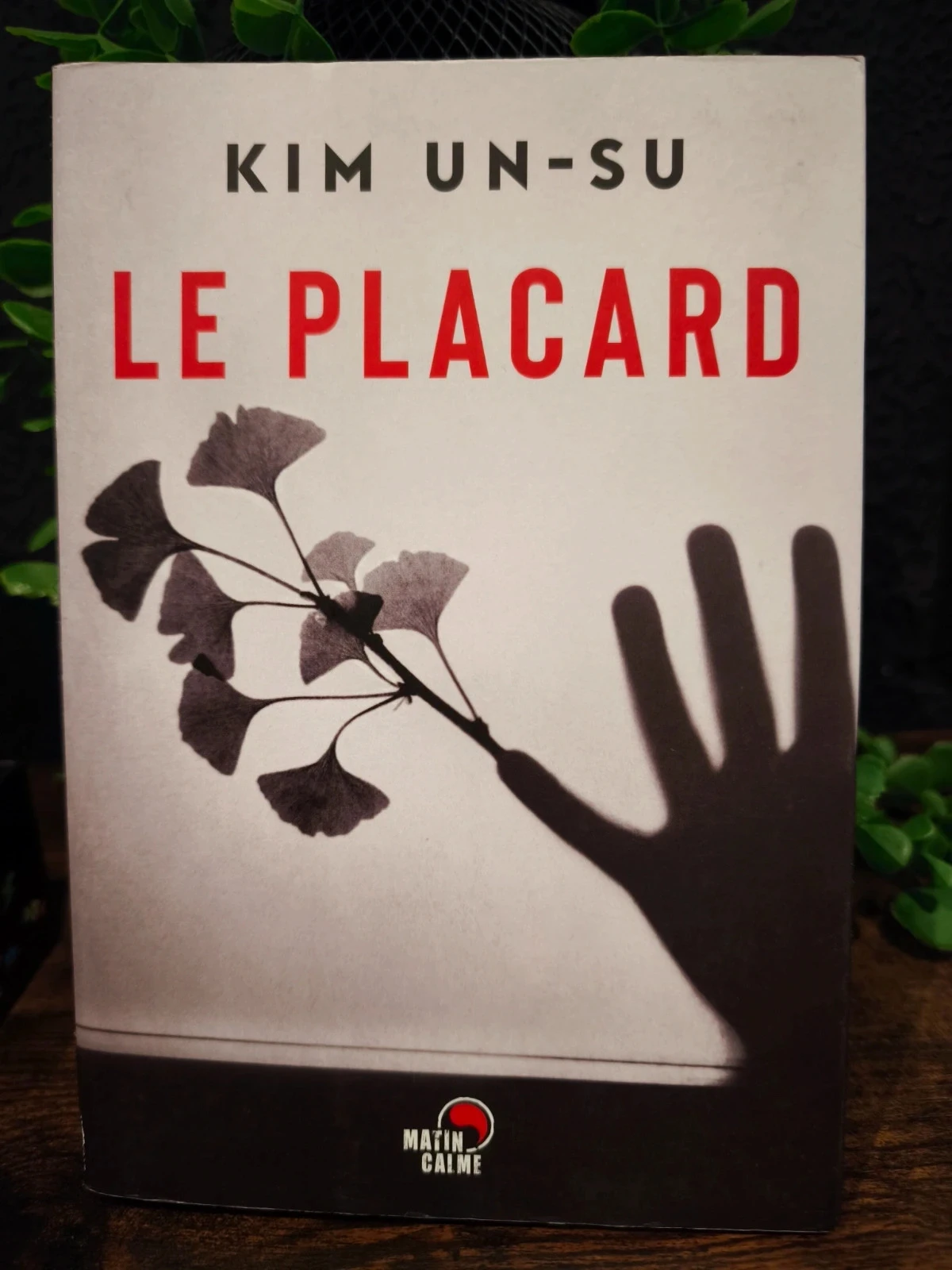 Le placard